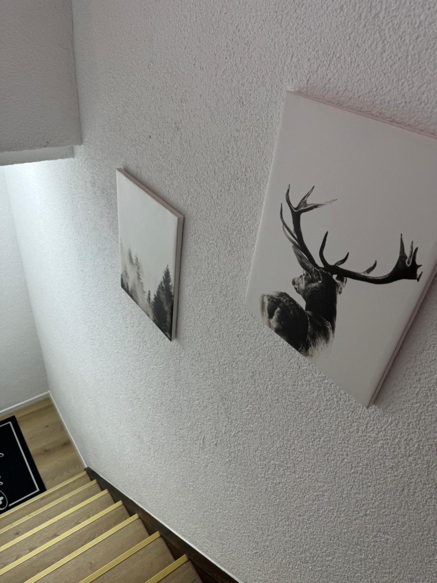 Dachgeschosstraum Lejlighed Freudenstadt Eksteriør billede